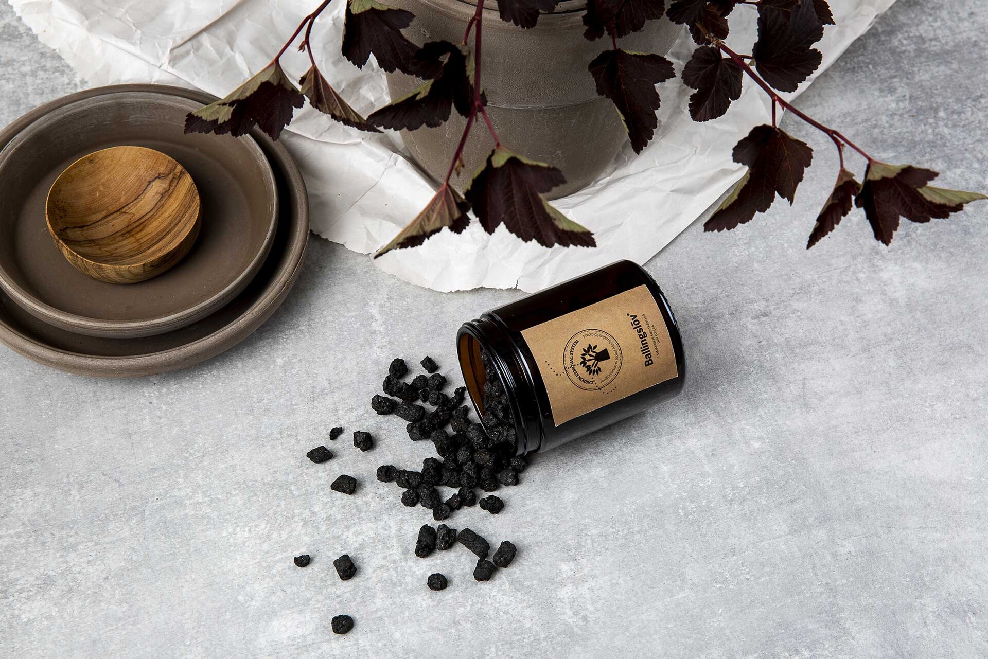 Klimaneutralisering - biokul