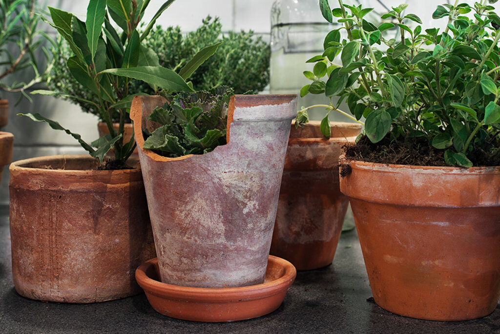 Höga krav i alla led