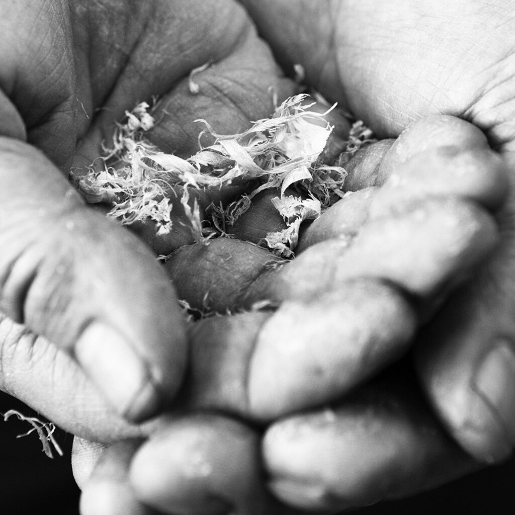 Kärnvärde - hållbarhet